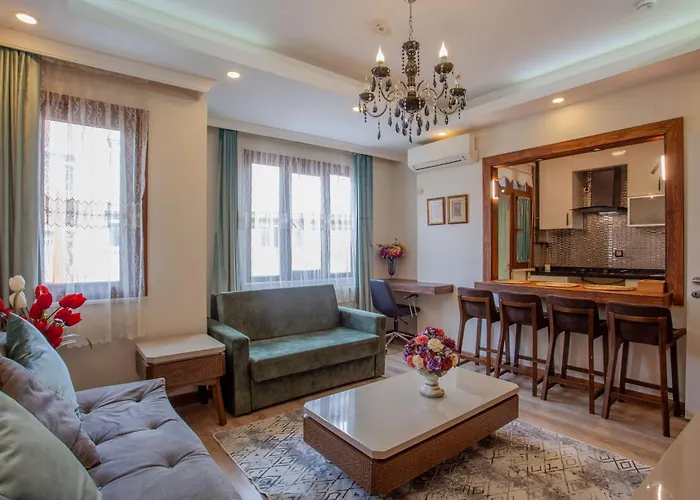 Super House 75 Mt 2 Bedrooms 1 Living Room Istanbul Center